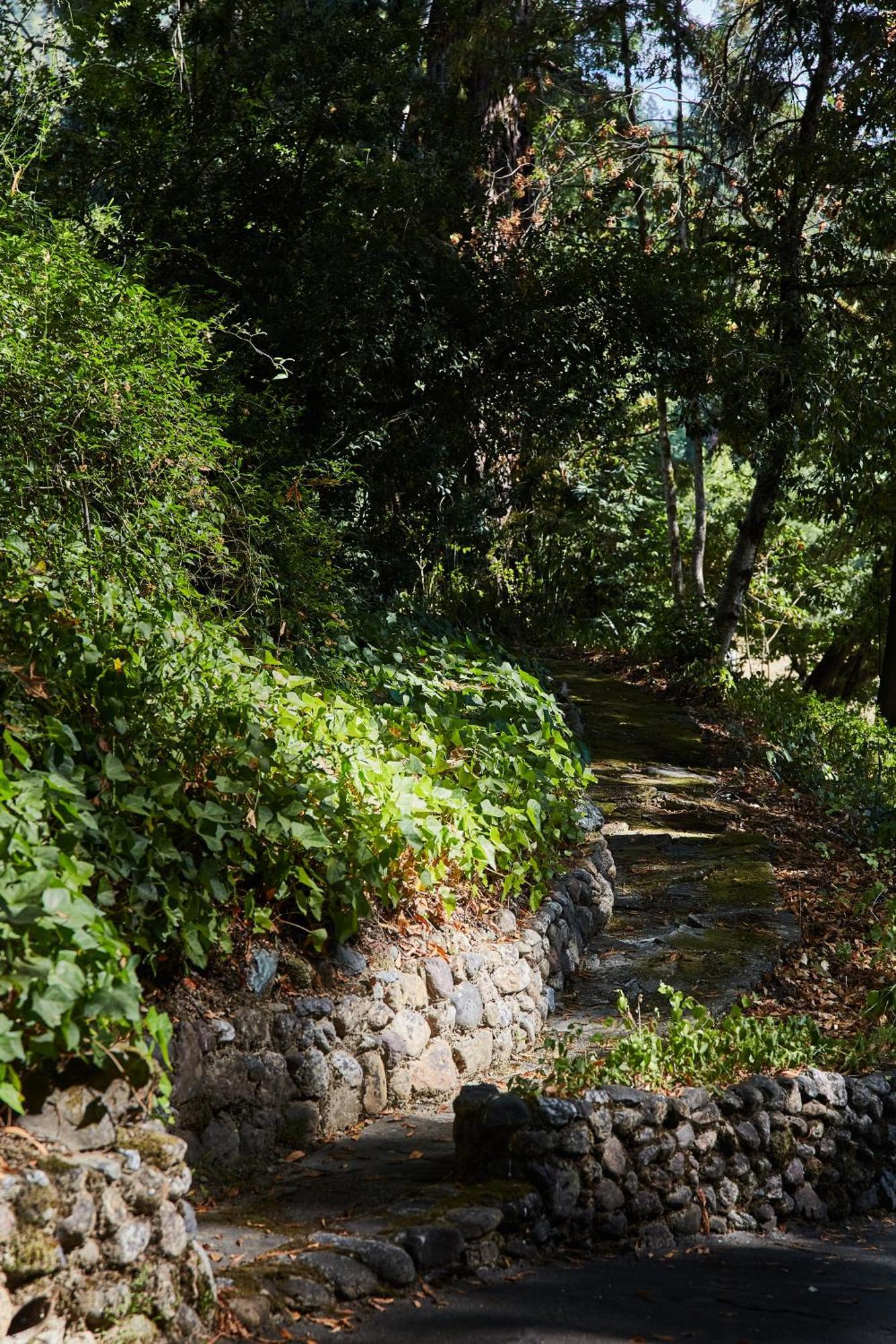 Mine And Farm, The Inn At Guerneville, Ca Exteriér fotografie